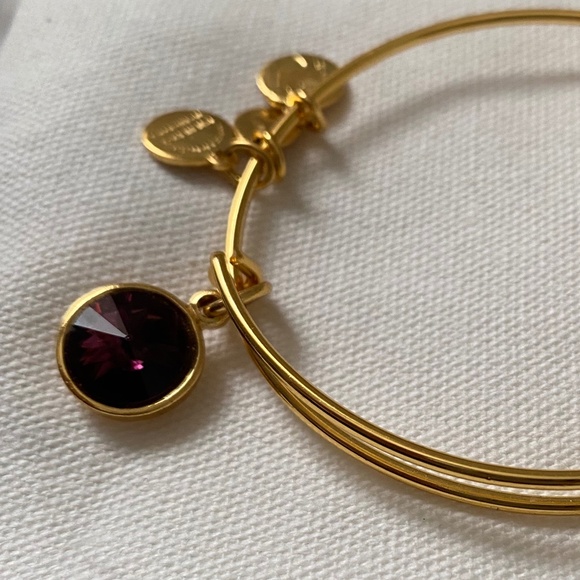 Alex + Ani amethyst charm bangle, Color: gold finish - Picture 8 of 9
